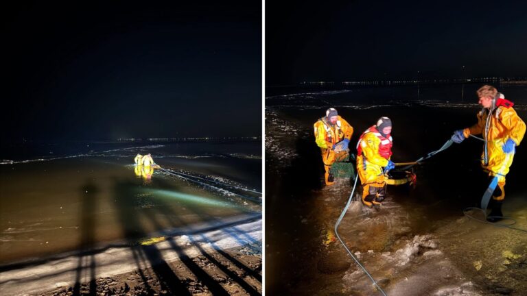 NY Firefighters Rush To Frozen Bay After Reports Of Struggling Creature Stuck On Ice