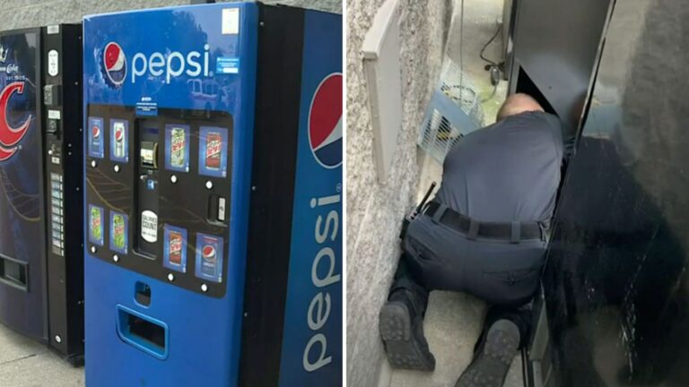 Tennessee Woman Hears Screams From Vending Machine… Moments Later, She Can’t Believe Her Eyes