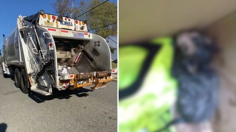 New Jersey Worker Spots Something Furry In Trash Compactor And Makes Heart-Stopping Discovery