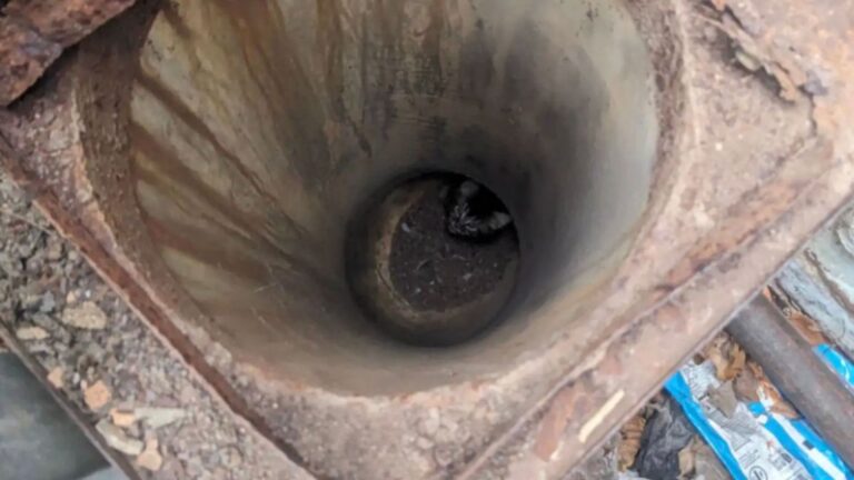 North Carolina Friends Think They Hear Faint Screaming From Open Pipe And Follow Their Instincts