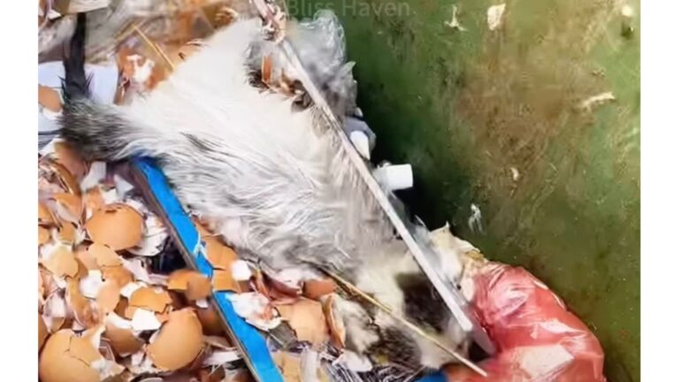 Texas Man Heard Faint Cries From Trash Can, What Happened Afterward Was Hard To Forget