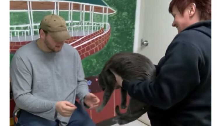 North Dakota Man Crosses 2,000 Miles To Reunite With His Cat And Their Story Goes Viral
