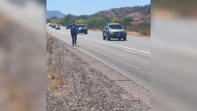 Man Makes A Split-Second Stop After Seeing Something Lying On The Highway In California