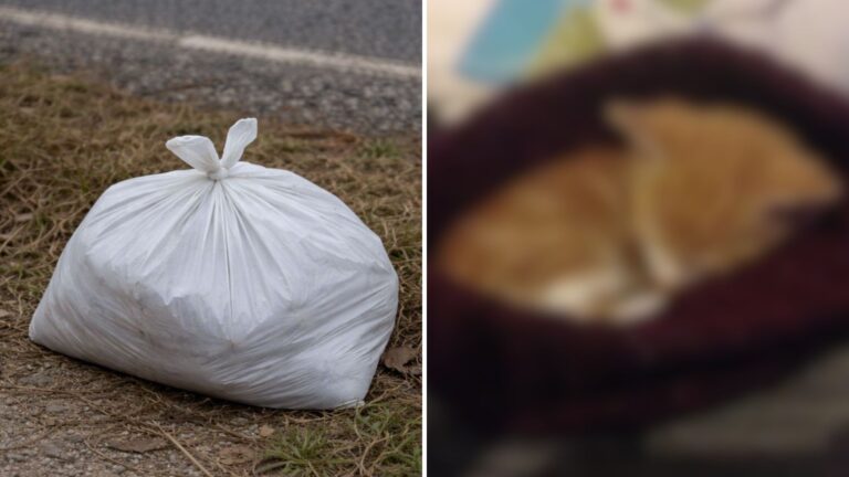 Ohio Man Notices Sealed Bag By The Roadside, Gets A Strange Feeling And Goes To Check