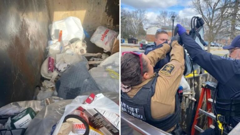Michigan Officers Lift Dumpster Lid And Make A Gut-Wrenching Discovery They’ll Never Forget