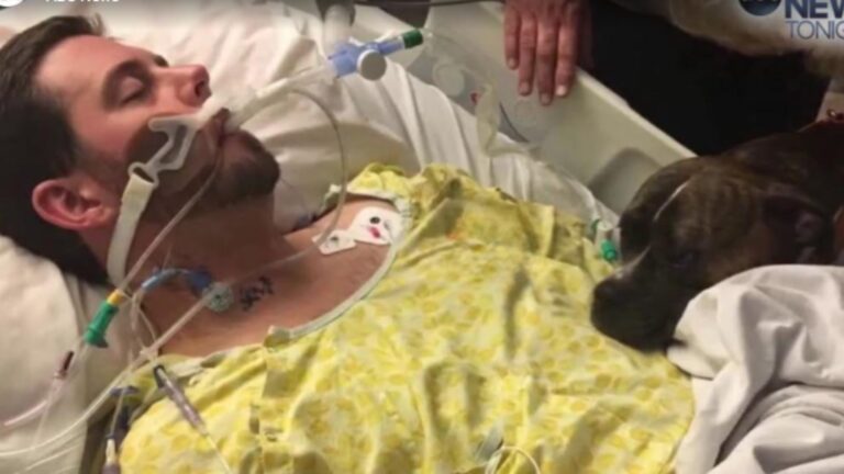 California Dog Has One Last Goodbye With Beloved Owner In Hospital And The Video Breaks Hearts