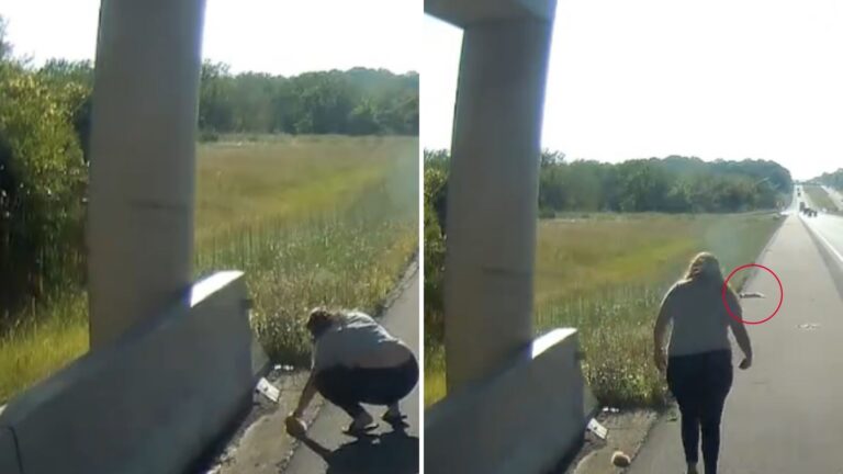 Texas Couple Notices A Motionless Creature Lying By The Roadside, Then Finds Another One Nearby