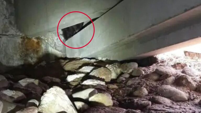 Colorado Hospital Staff Notice Strange Creature Hiding In Narrow Gap And Decide To Come Closer