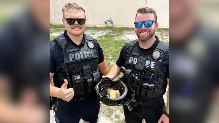 Florida Officers Rescue Abandoned Duckling And Use It To Deliver An Important Message