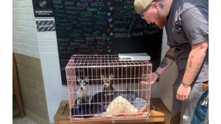 PA Rescue Saw A Crate Outside Their Door, And What They Were About To Face Left Them Shaken