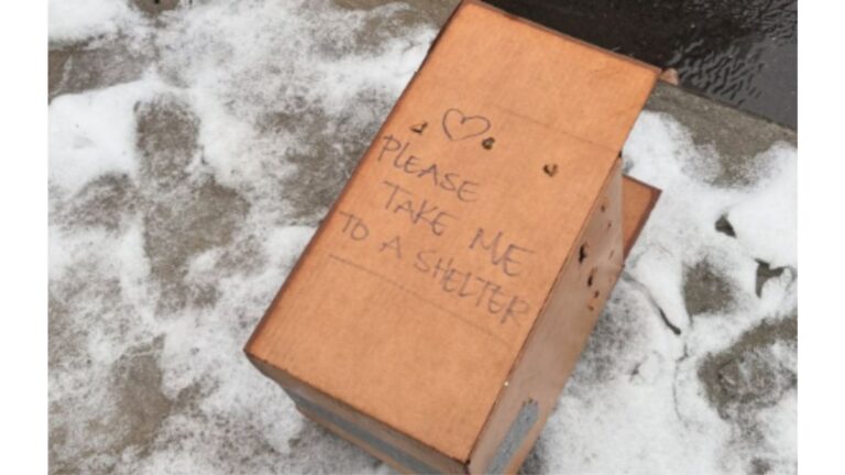Passerby Sees A Box On A Sidewalk In New York, Gets A Strange Feeling, And Decides To Check It