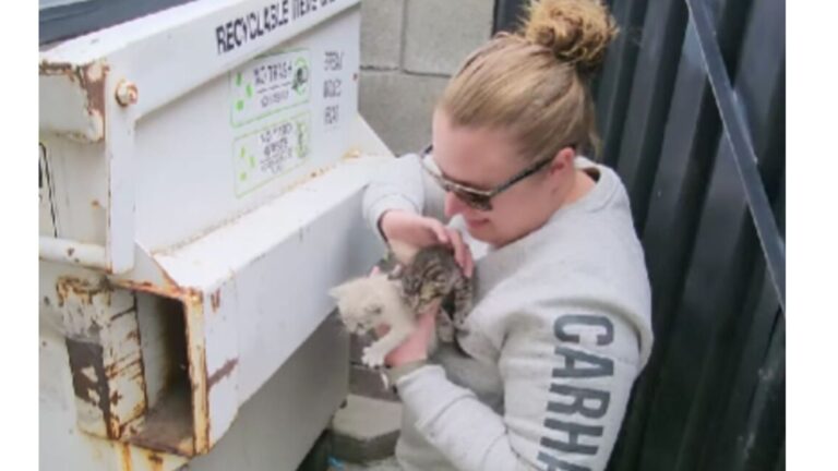 California Rescue Team Saves Kittens Abandoned In Parking Lot, Then Hears Another Crying Voice