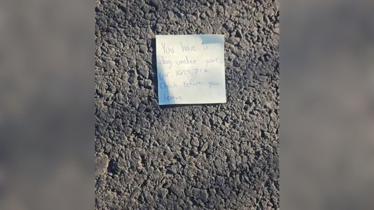 California Resident Finds A Note On Their Car, Then Makes A Heartbreaking Discovery Under It