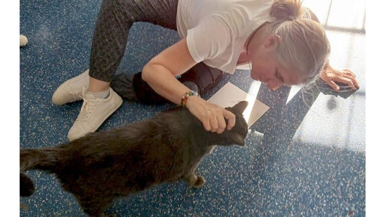 Cat Wandering Arkansas Gas Station Leaves Everyone Speechless After Microchip Check