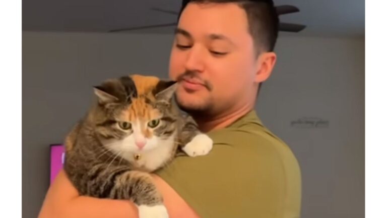 Tennessee Senior Cat Abandoned By Family Finds Love Again And Surprises Her New Owners