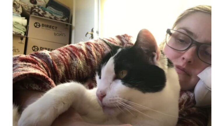 Vermont Woman Adopts A Cat With Three Legs And Gains More Than She Expected
