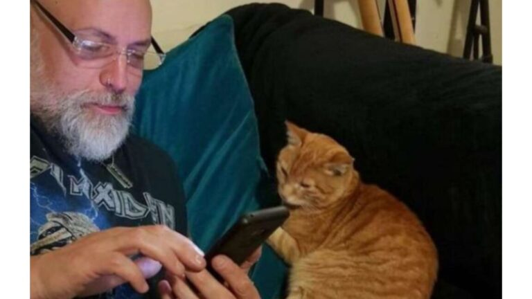 Florida Cat Decides One Family Isn’t Enough And Adopts A Second One