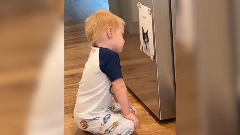 Illinois Mom Films Her Toddler Mourning His Furry Friend And It’s Breaking Hearts Everywhere