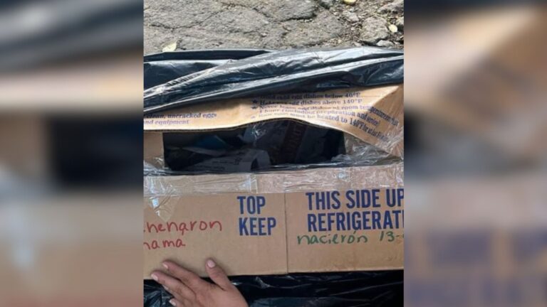 NY Shelter Staff Notice Trash Bag Left Outside, What Happened Seconds Later Left Them Reeling