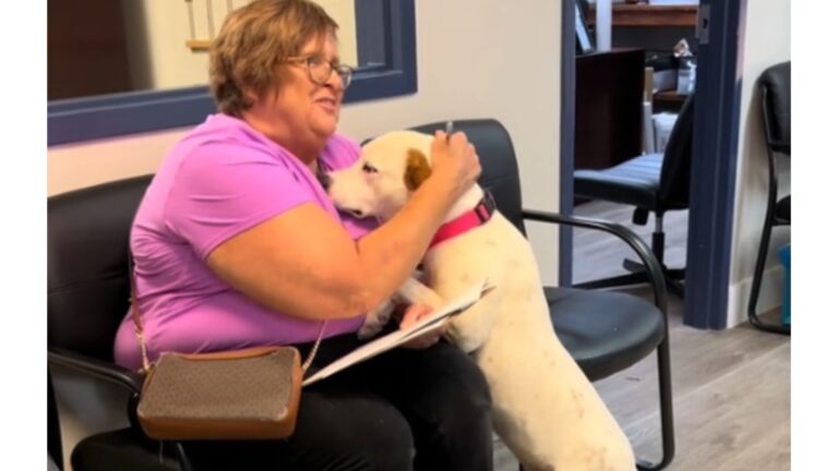 Watch Dog’s Reaction When He Realizes Someone Is Finally Taking Him Home From Florida Shelter