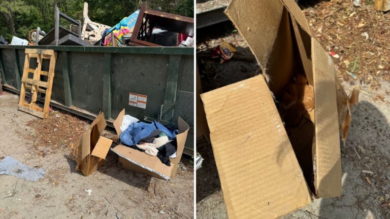 Georgia Rescue Team Hears Scratching In Dumpster And Their Hearts Sink When They Look Inside