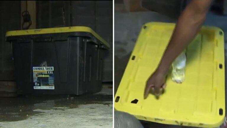 Las Vegas Store Staff Spot Sealed Box In Shopping Cart, Then A Closer Look Leaves Them Stunned