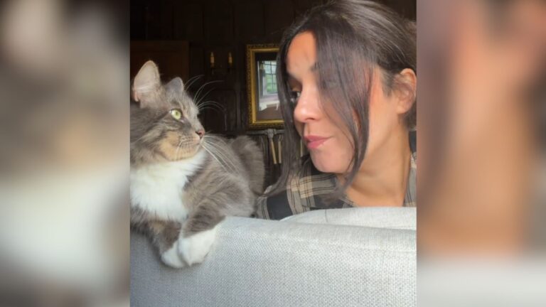 Washington Cat Throws Epic Tantrum After Being Locked Out Of Bedroom, Watch The Viral Video