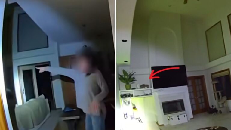 Colorado Woman Jolted Awake By Loud Noise Comes Face-To-Face With Wild Visitor In Her Room