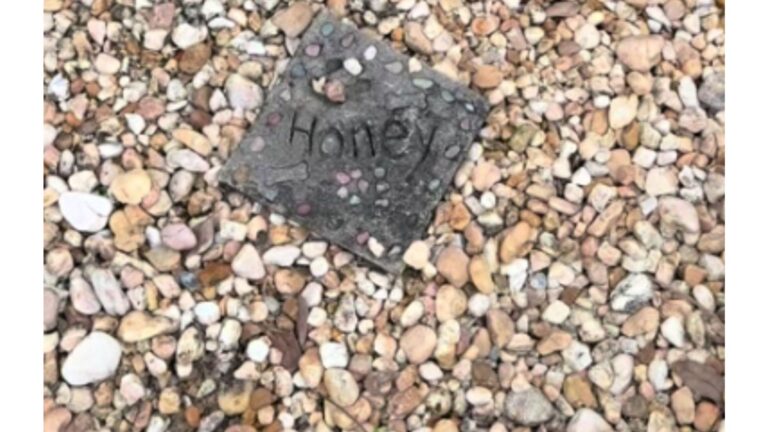 Florida Woman Finds Dog’s Grave In Her New Yard And Decides To Find Answers