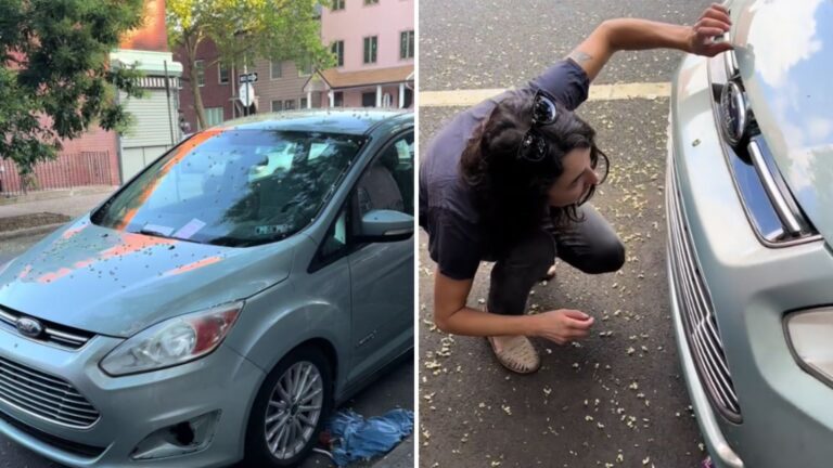 NY Woman Finds Notes Taped All Over Her Car And The Next Discovery Caught Her Off Guard
