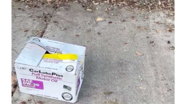 California Woman Passes A Box Sitting On The Sidewalk, Then Instinct Makes Her Turn Around