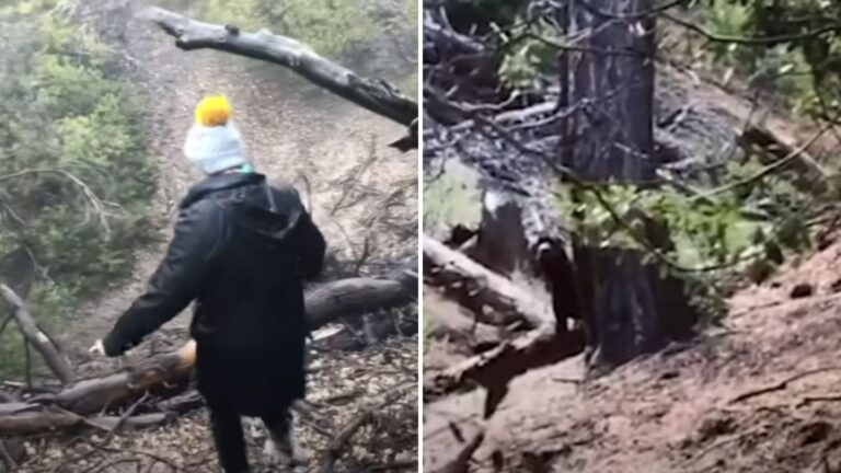 Woman Hiking With Her Dog In LA Woods Spots Movement On Cliffside And Acts On Instinct