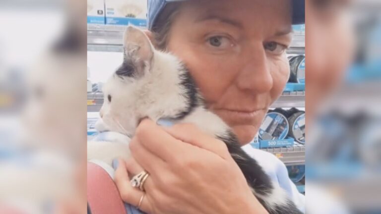 Texas Woman’s Quick Store Trip Turns Into A Heartwarming Rescue Moment