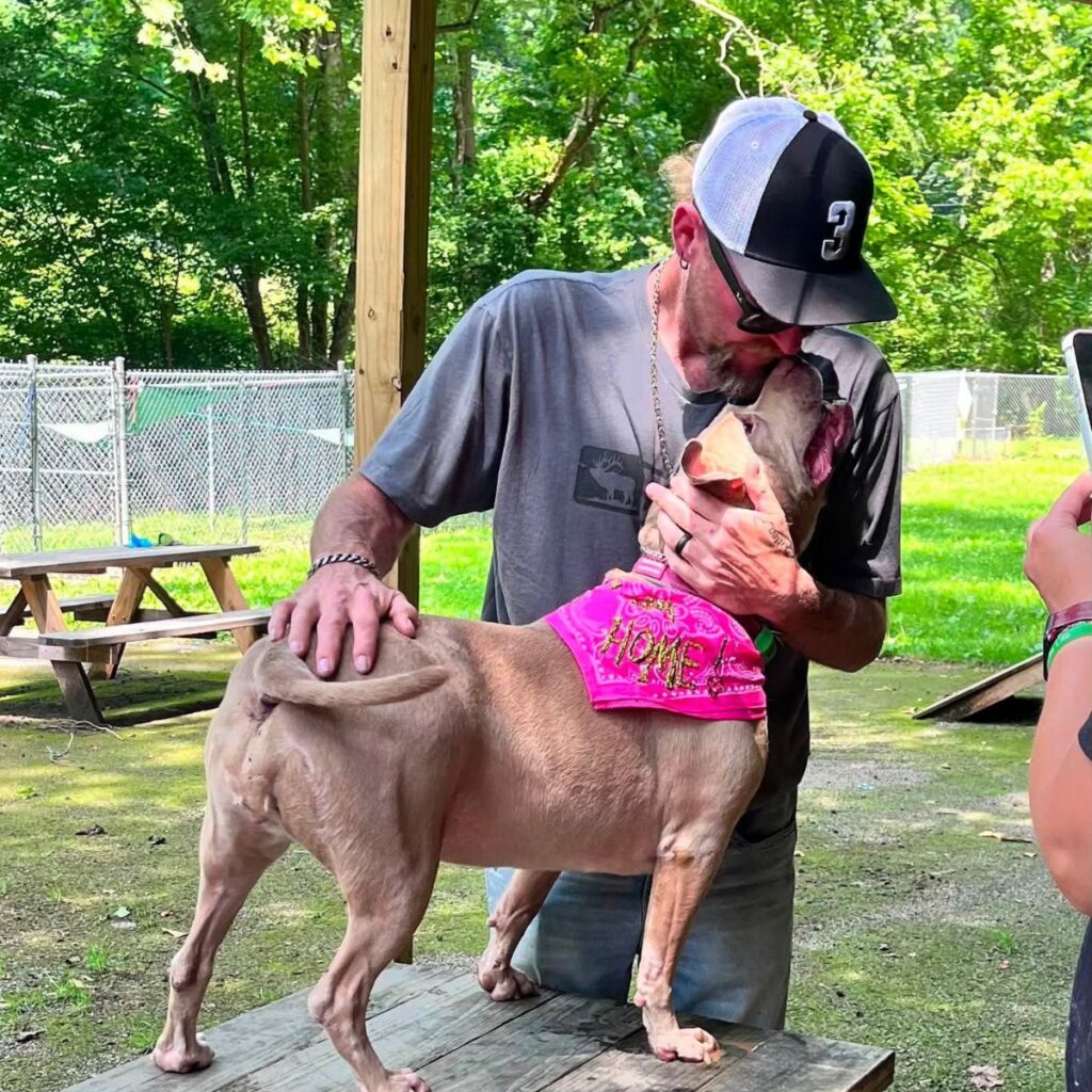 man cuddling with a brown pit bull