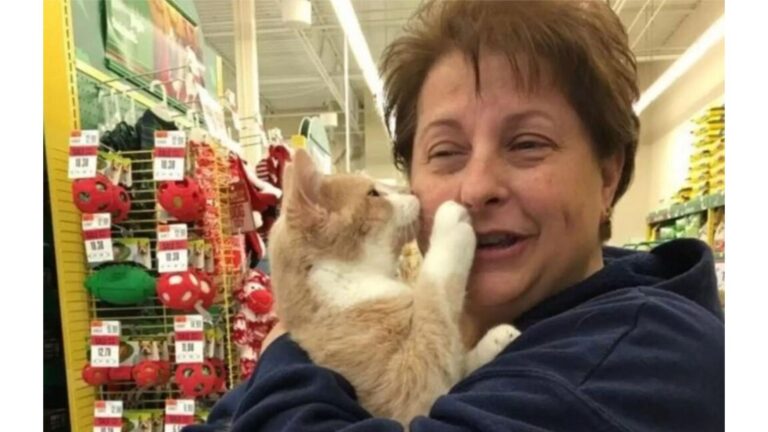 Michigan Rescue Cat Overcomes Abuse And Showers His New Mom With Endless Kisses