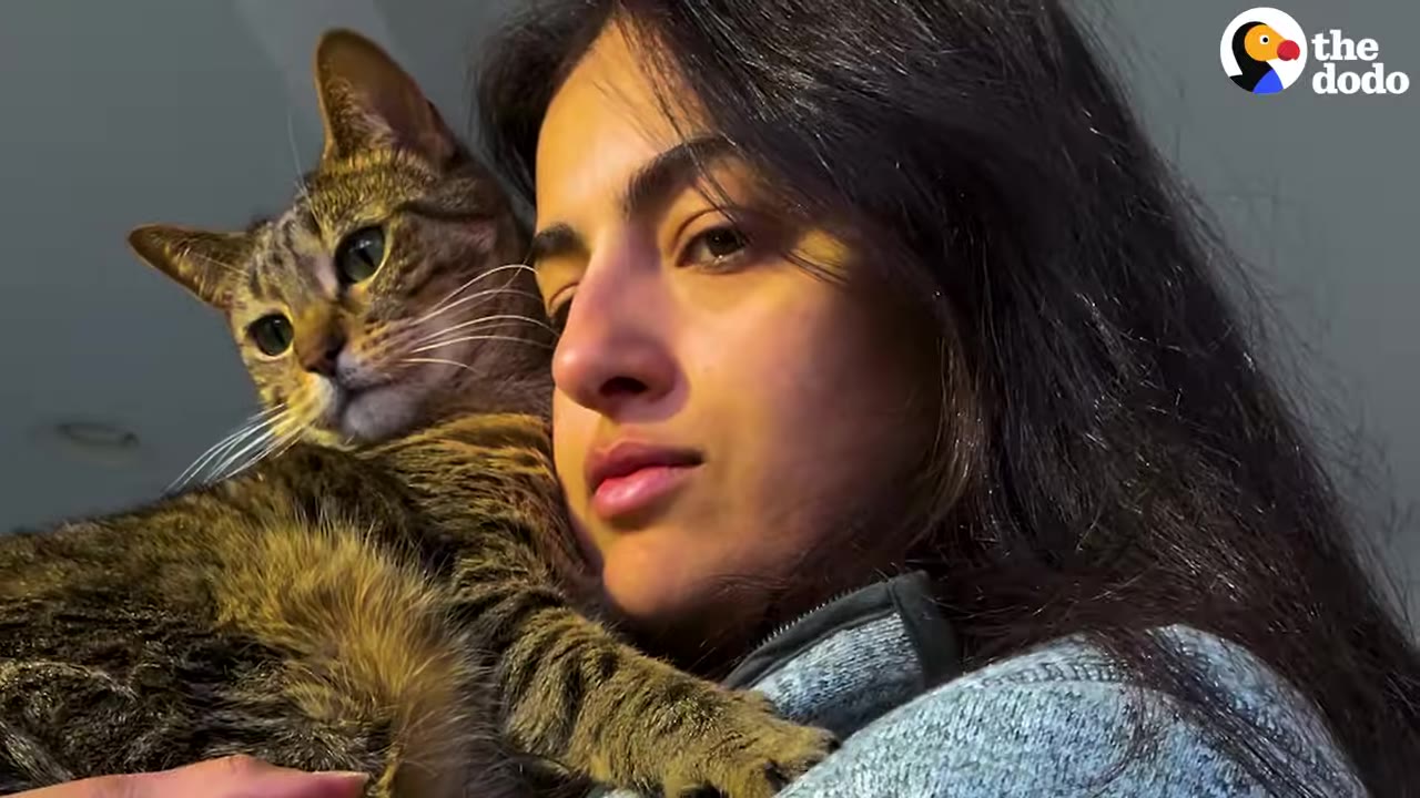 A close-up shot of a woman with long dark hair holding a tabby cat close to her face as they both look off-camera.