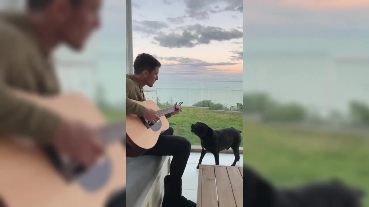 A man sits on an outdoor bench playing an acoustic guitar while a black dog stands nearby, looking up at him attentively against a backdrop of a grassy yard and cloudy sky.