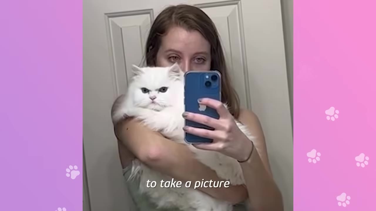 A woman holding a fluffy white Persian cat in front of a mirror, with the cat making a grumpy, scowling facial expression.