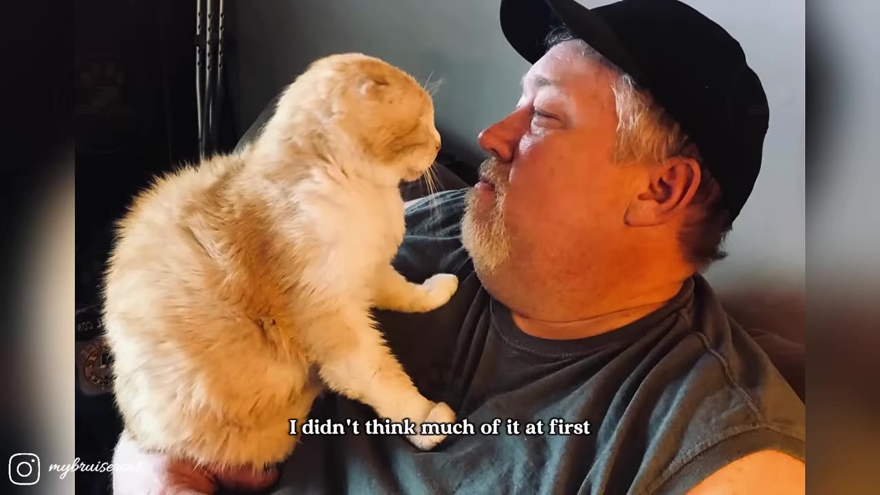 A man wearing a black baseball cap holds a fluffy orange and white cat close to his face, looking at it affectionately.