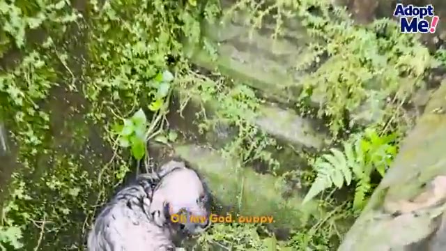 Video frame for A Freezing Discovery in the Pouring Rain