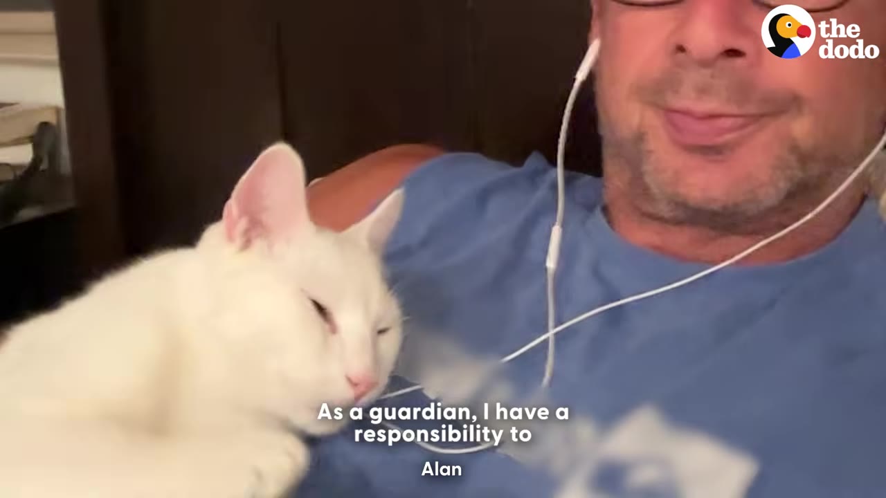 A close-up shot of a white cat resting peacefully on the chest of a man wearing wired earphones and a blue shirt.