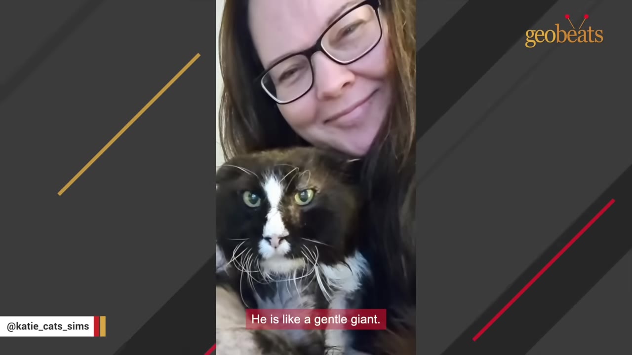 A close-up of a black and white cat named Panda with a grumpy expression, being held by a smiling woman wearing glasses.