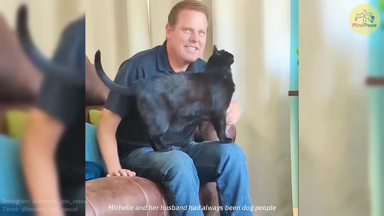 A smiling man sits on a brown leather couch with a black cat standing on his lap.