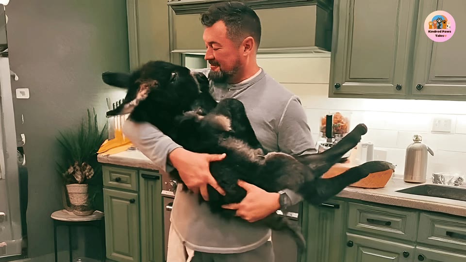 Video frame for A Morning Routine Like No Other