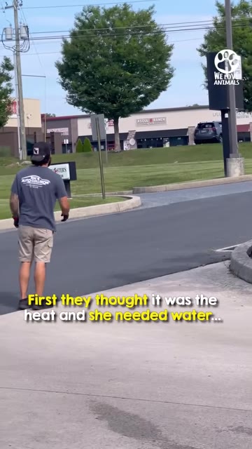 A man in a grey t-shirt and khaki shorts stands on a concrete pavement on a sunny day, looking towards a road.