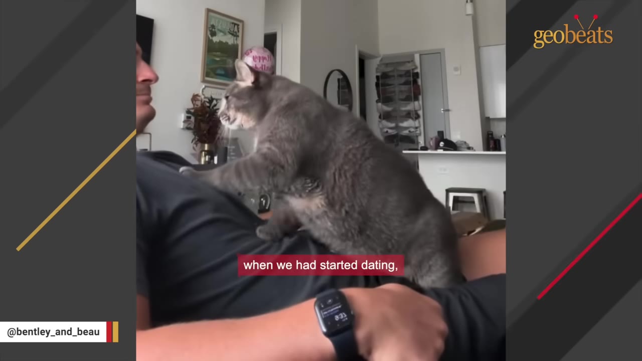 A grey cat stands on the chest of a man lying down, with a subtitle reading 'when we had started dating,'.