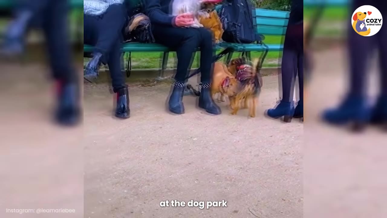 A small brown dog stands near the feet of people sitting on a green park bench.