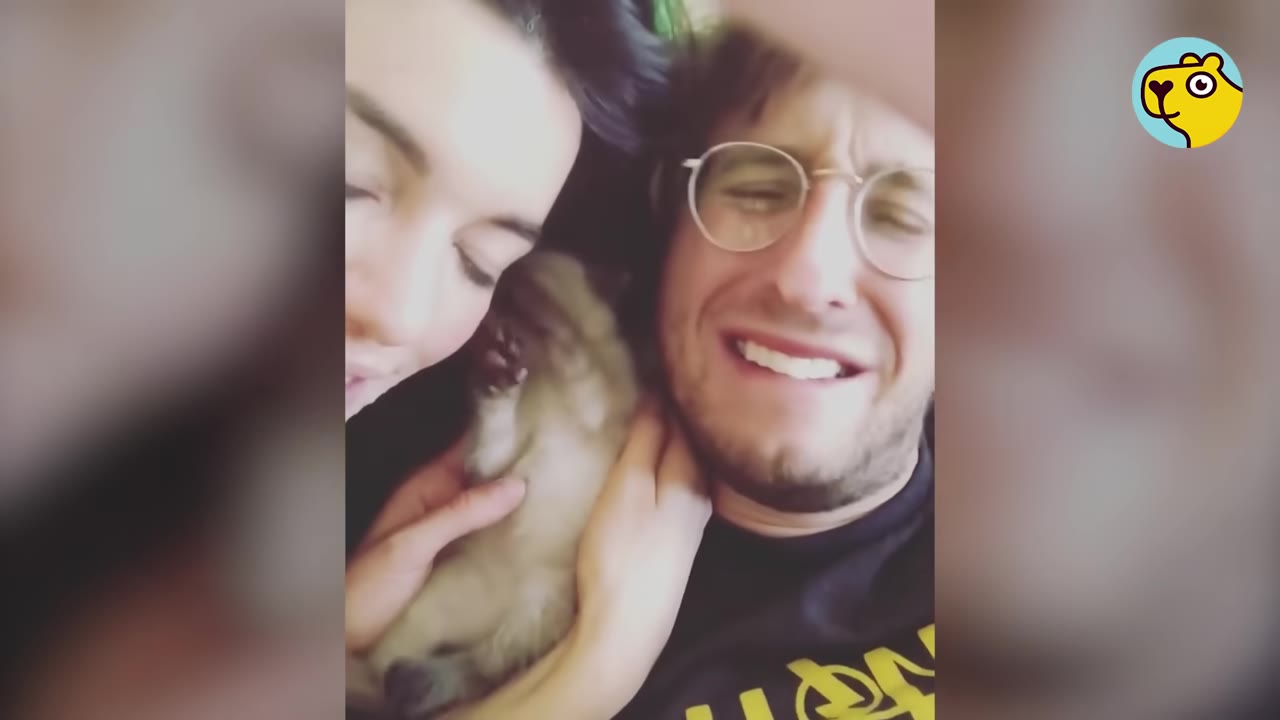A man with glasses grimaces reluctantly while a woman holds a small kitten close to his face.