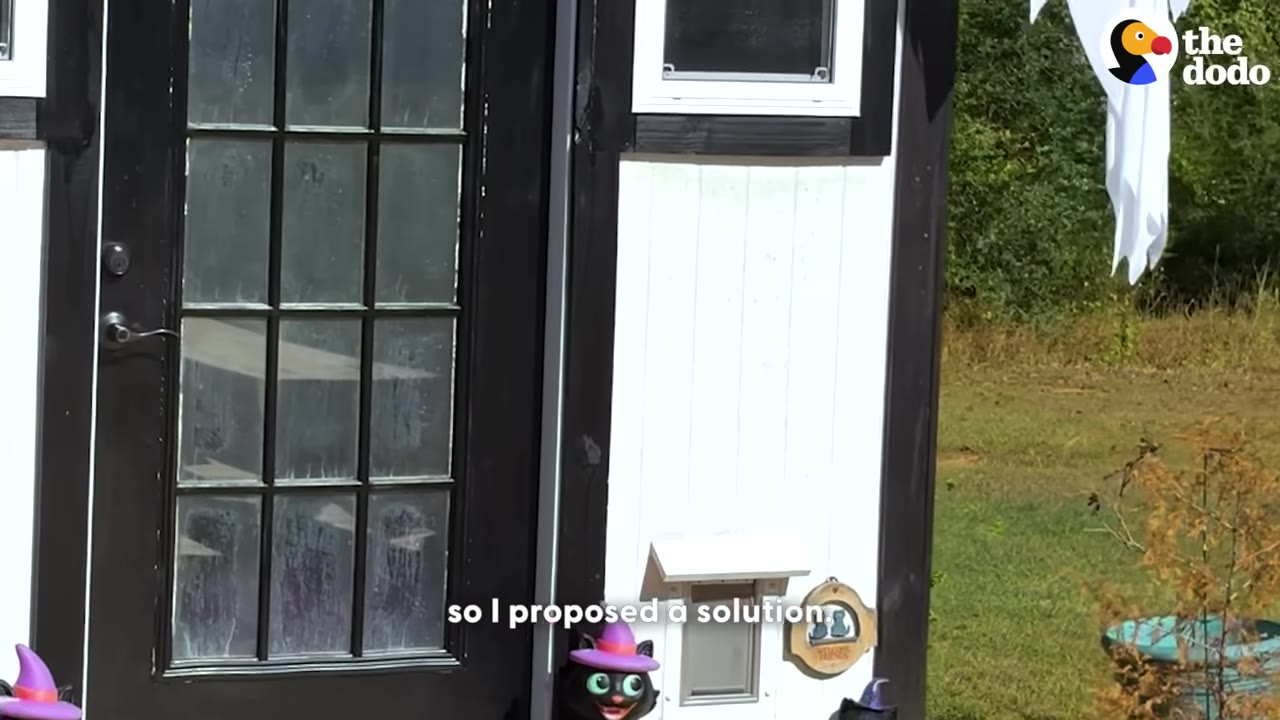 The exterior of a small white and black cat house with a glass-paned door, a small cat flap door, and Halloween decorations.