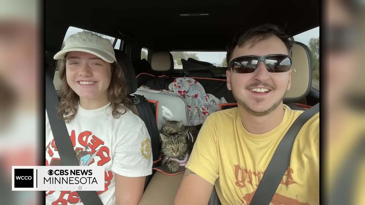 A smiling young woman wearing a cap and a young man wearing sunglasses in the front seats of a car, with two tabby cats visible in the back seat between them.